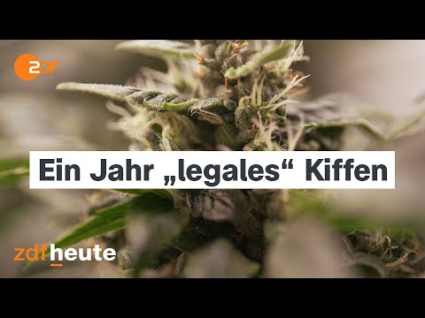 Ein Jahr Cannabis-Teillegalisierung: Zwischen Rausch und Ernüchterung | Länderspiegel