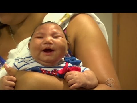 Researchers learning more about Zika's dangers