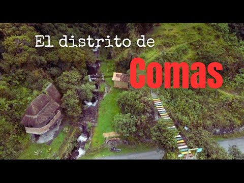 Distrito de Comas provincia de Concepción...