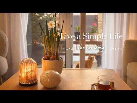 Living a Calm Life with our Cats | Slow Days & Simple Cooking