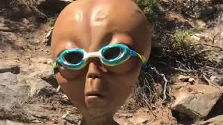 VIBE-O MODE🔊🔥👽