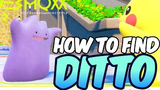 How to find DITTO in Pokemon Scarlet Violet