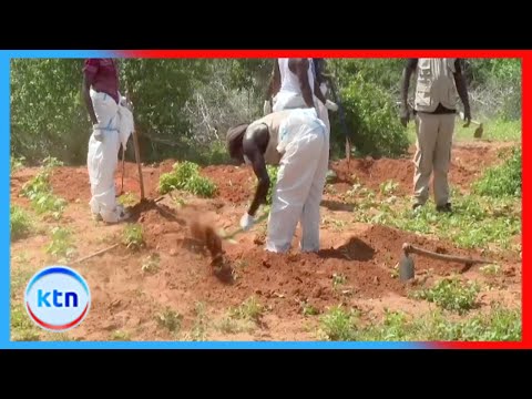 Ufukuaji miili Shakahola, Kilifi, uliotarajiwa leo haujafanyika licha ya idhini ya mahakama