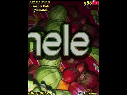 FUA OTE KOLI (Semata) - AFAMAUMAU (reprise) - ( Paroles)