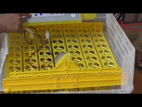 Tm&w- small/mini egg incubator 112 eggs cap. fully automatic