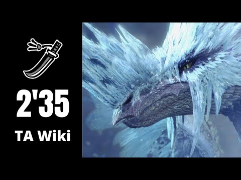 [MHW:IB|PS4] USJ Velkhana LS/太刀 TA Wiki Rules 2'35'