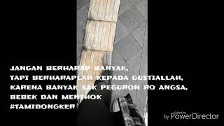 Download lagu Story wa dj wik wik wik mp3