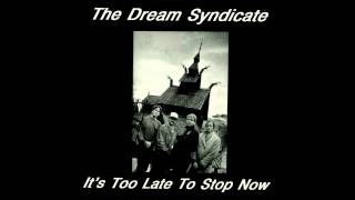 The Dream Syndicate - Cinnamon Girl (Neil Young Cover)