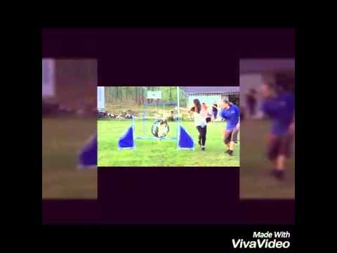 První agility trénink s Petrem Vajglem