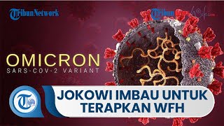 Jokowi Imbau Masyarakat untuk Kembali Menerapkan Sistem Work From Home akibat Omicron Melonjak