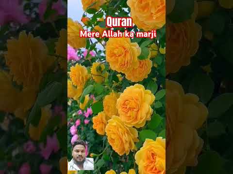 Mere Allah ka marji har chij per Kadir #flowers #beautiful