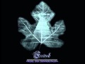 Freitod - Abwärts 