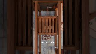 How Lions Suddenly Appeared Inside The Colosseum 😮