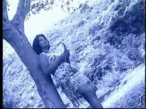 Vida - La Bamba
