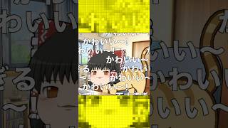 猫巫女dancing