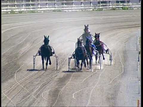 prova di qualifica 3 e 4 anni 15 giugno 2020 Follonica