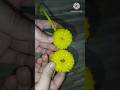 Plastic Wire Flower Making Plastic Craft Handmade
