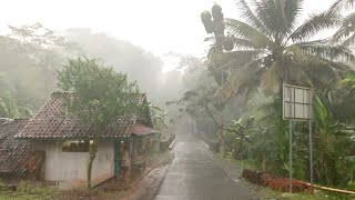 Walk in Heavy Rain and Thunderstorms in Rural Indo
