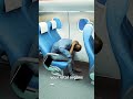 How To Survive A Plane Crash