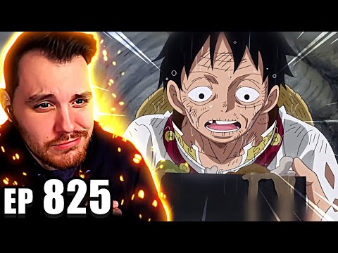One Piece Episode 825 REACTION | A Liar! Luffy and Sanji!