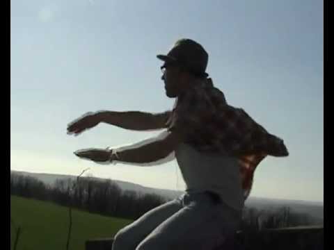 Musique de Gramatik - DANSE - ( Laurik )