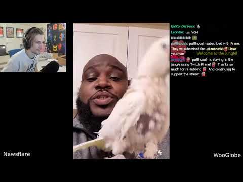 XQC Twitch Vod (5/6/2021) [Part 1/3]