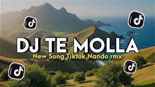 Download lagu Dj Te Molla new song TikTok - Nando rmx  mp3