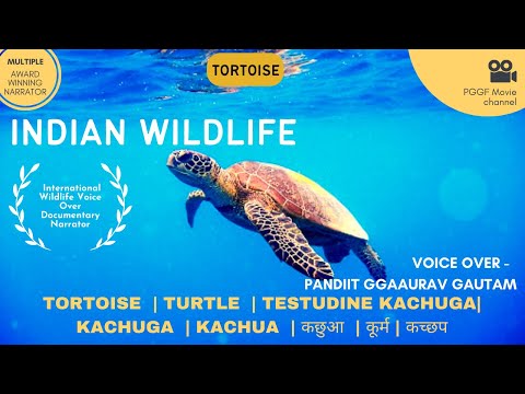 Hindi Voice Over Documentary Wildlife