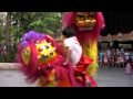 Northern Lion Dance Singapore Zoo - Chinese New Year