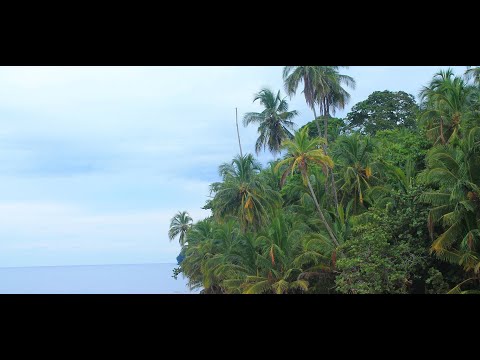 Tropical Vibes: Dj Kova Puerto Viejo Playlist - Costa Rica