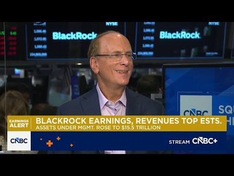 BlackRock's Larry Fink: We are seeing demand for capital in all different segments of the economy