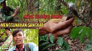 Download lagu 🔴Mikat tledekan BAMBU pakek sangkar mp3
