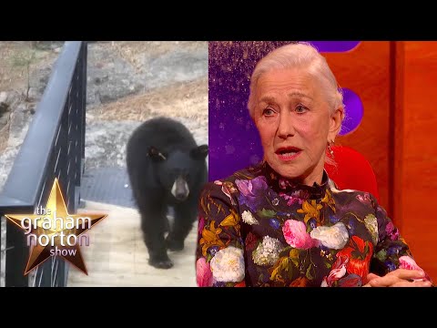 Helen Mirren odhání medvěda a Adele se stýská