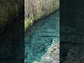 Gamer Girl Bath Water