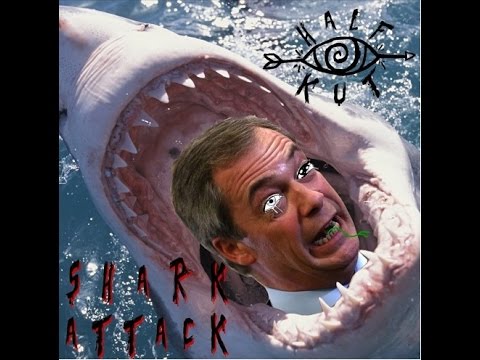 Half Kut - Right Wing Media Shark Attack