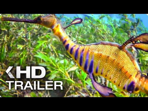 UNSER BLAUER PLANET 2 Trailer German Deutsch (2018)