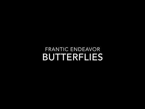 Butterflies - Frantic Endeavor Lyric Video