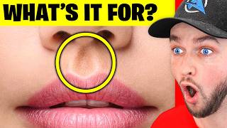 Download lagu 1,000 Body Secrets I Learned on YouTube Shorts! mp3