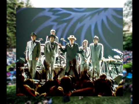 Bob Dylan ~ A Greasy Trail (Best Of The 2007 Summer Tour)