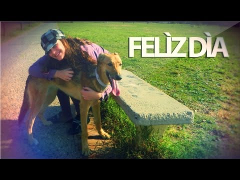 Cómo hacer tú mismo un collar para tu mascota