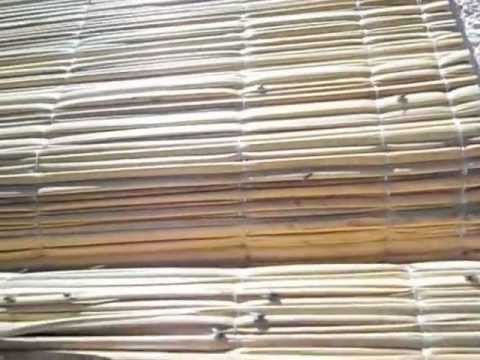 LAS MOSCAS EN CUCHILLA DE SIERRA