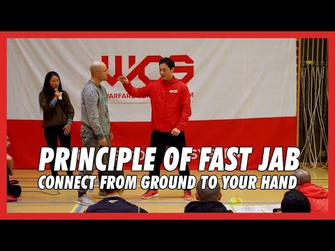 Principle of Fast jab (Connect from ground to your hand) - DK Yoo