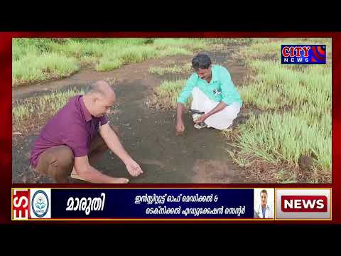 നീലേശ്വരത്തും പരിസരപ്രദേശങ്ങളിലുമുള്ള മനുഷ്യര് വിനോദങ്ങളില് ഏര്പ്പെട്ടിരുന്നതിന് തെളിവ് കണ്ടെത്തി
