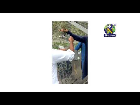 Analog dielectric constant microwave trainer sf00001097, for...