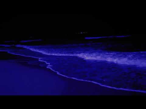 Onda Beach Relaxing Waves   Dominican Ocean Sounds Will Help You Unwind 10