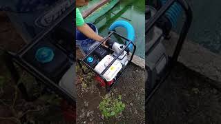 Download lagu Kencangnya Sedotan dan Semprotan Pompa air sawah Tesla 3' mp3 Download lagu Kencangnya Sedotan dan Semprotan Pompa air sawah Tesla 3' mp3