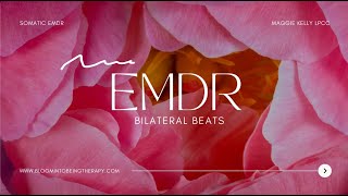 Immediate Nervous System Reset | EMDR Bilateral Music for Hormonal Balance (40 BPM, Wear Headphones)