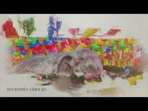 캠퍼스 연등에 소원등표를 직접 달아요 - 동국대학교