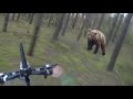 Bear Attack, Man is trying to run away from ...