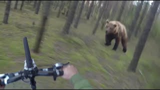 Bear Attack, Man is trying to run away from attacking Bear: GoPro